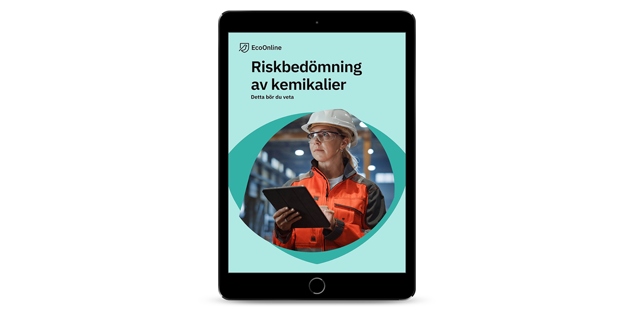NY Riskbedömning av kemikalier