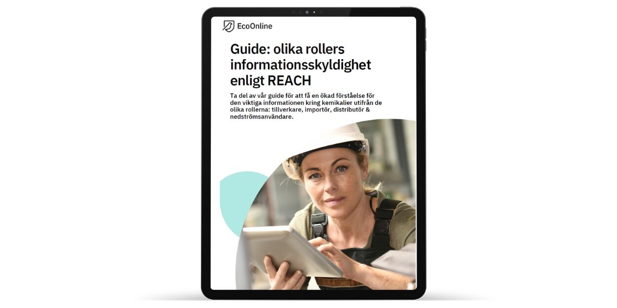 SE Olika rollers informationsskyldighet Guide